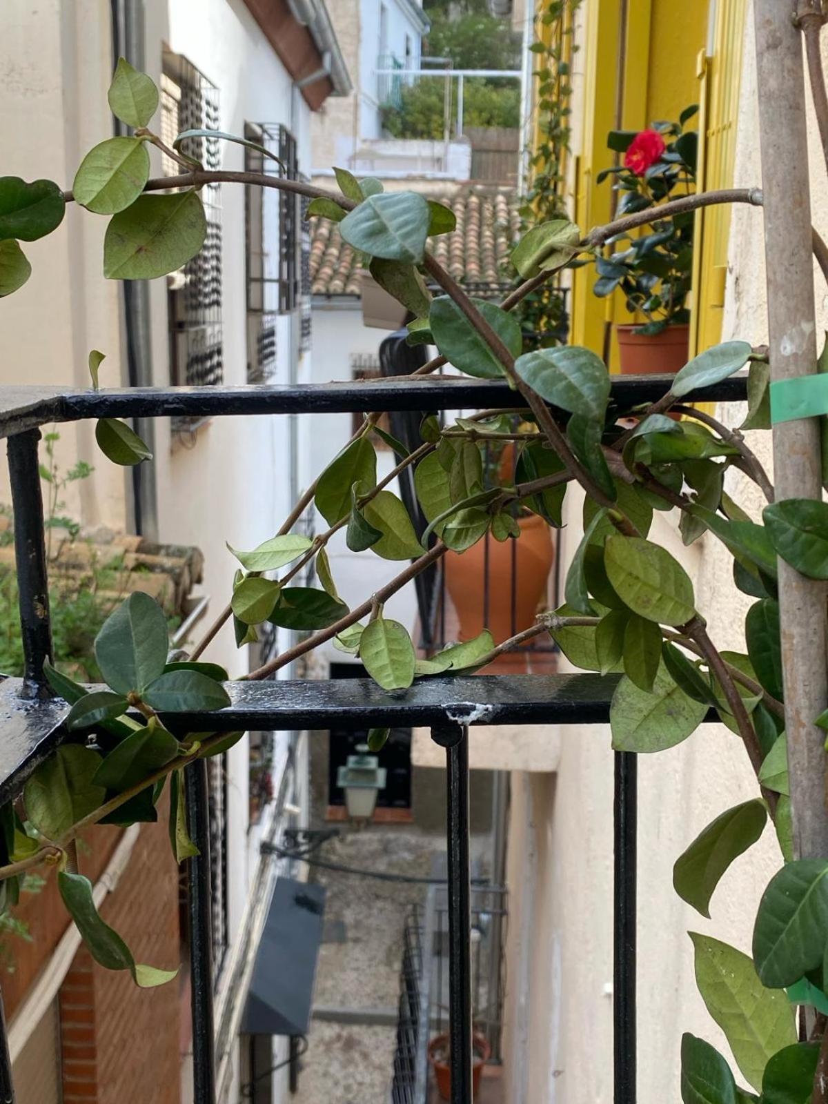 Apartamento Home Stagging New Life Granada Exterior photo