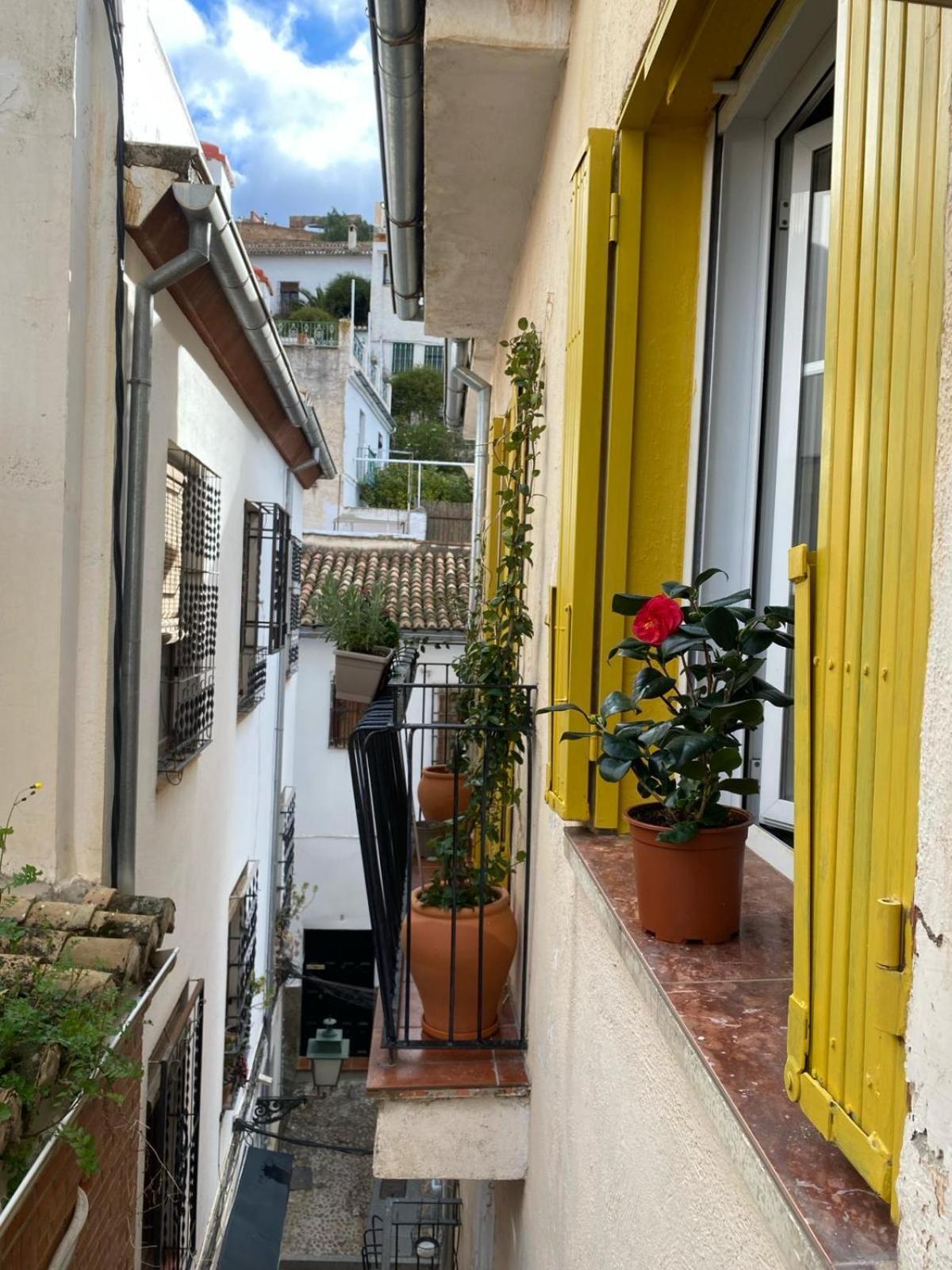 Apartamento Home Stagging New Life Granada Exterior photo
